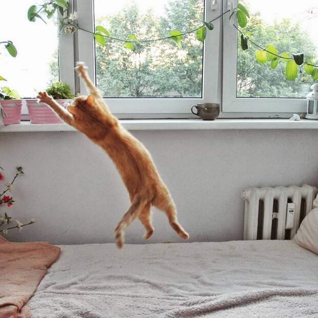 Прикольные картинки