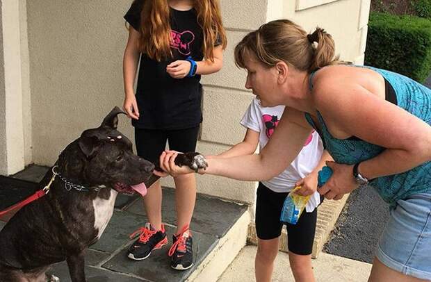 dog-who-cried-7