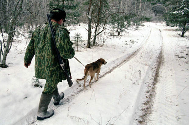 Незаконная охота на на медведей обернется штрафами до 50 тысяч рублей