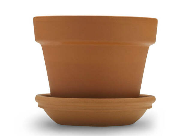 flower pot flower pot