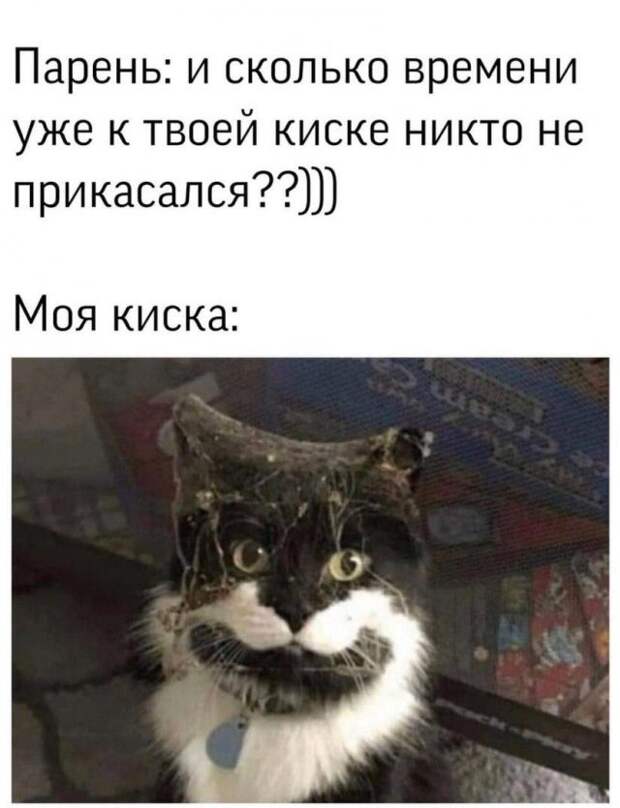www.vsyako.net