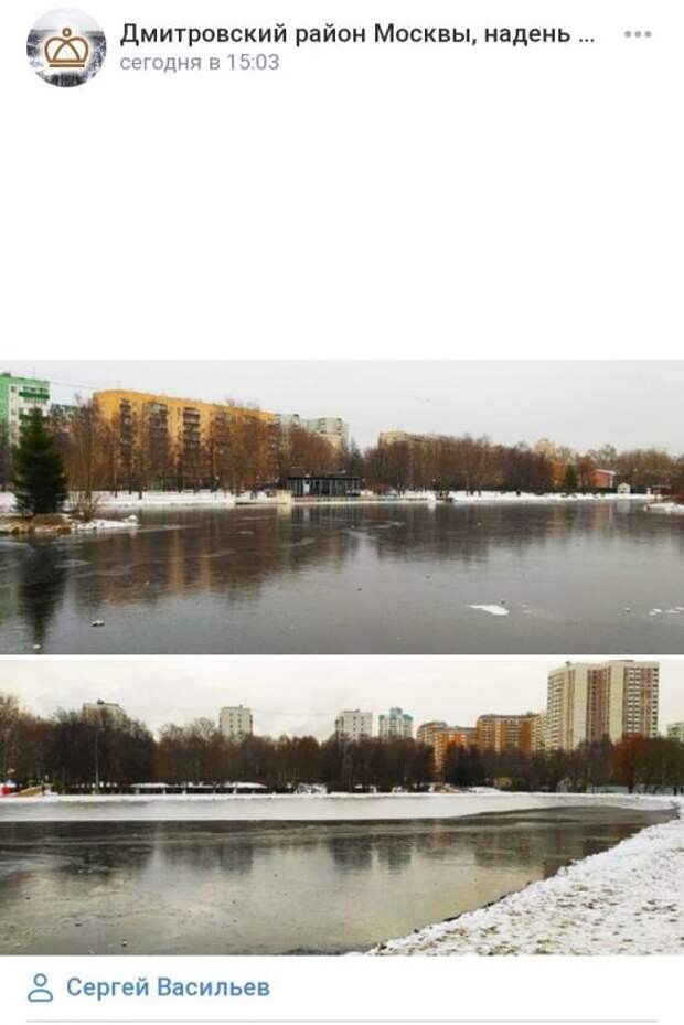 Фото дня: в парке Дмитровского района замерзли пруды