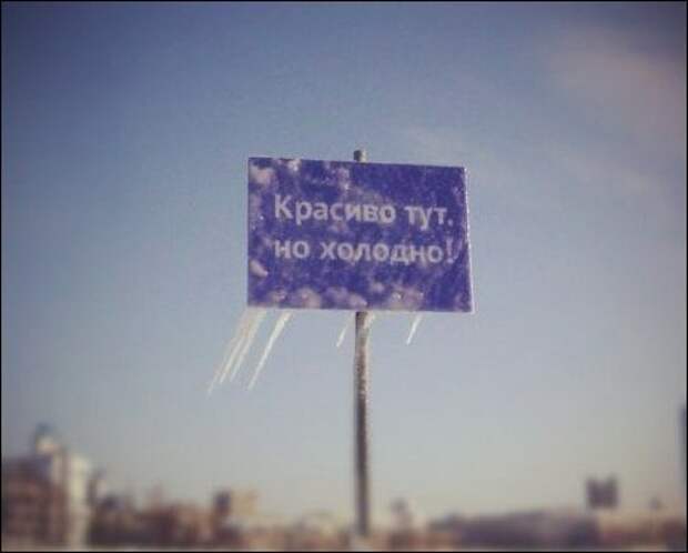 Прикольные надписи и объявления