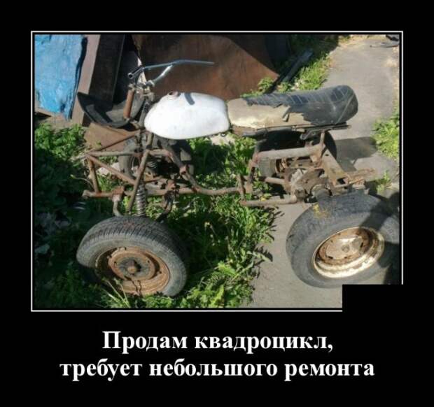 Демотиваторы (30 фото)