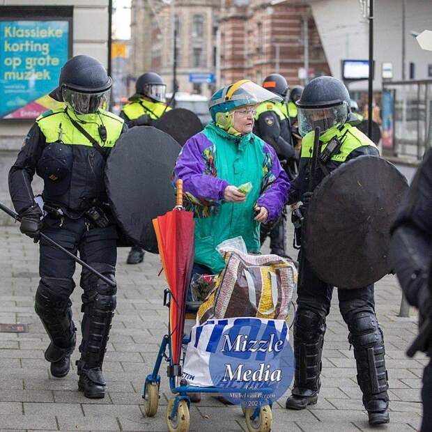Плетеные щиты против митингующих