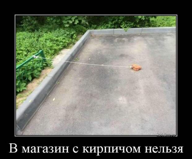 Прикольные демотиваторы (13 шт)