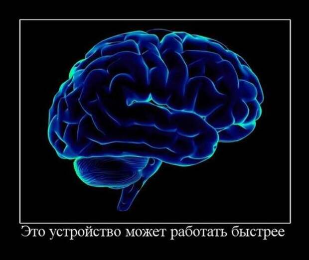 Немного новых демотиваторов