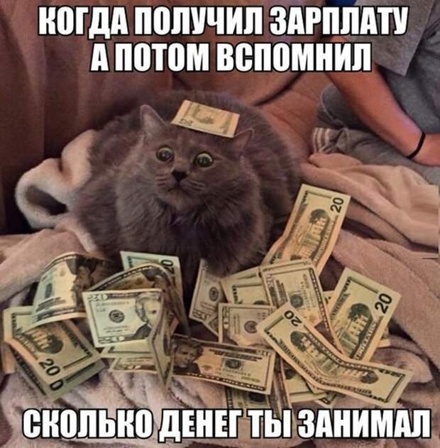 Смешная галерея фотоприколов # 134