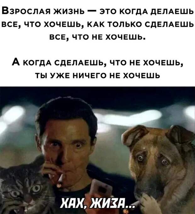 Смешные картинки вечерний выпуск 30 июля 2021