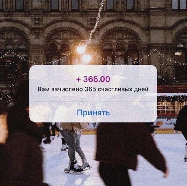 206323_11_trinixy_ru.jpg