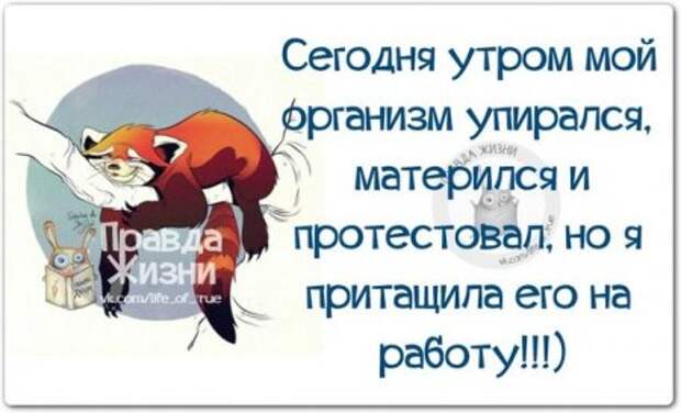 Прикольные "правдивости"