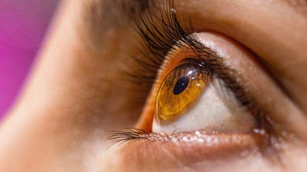 Названа неочевидная причина ухудшения зрения весной