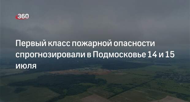 Первый класс пожарной опасности спрогнозировали в Подмосковье 14 и 15 июля