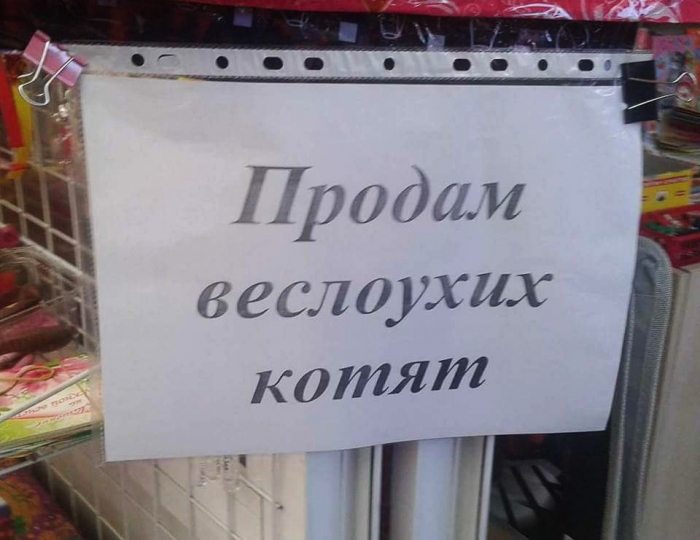 Прикольные надписи и объявления