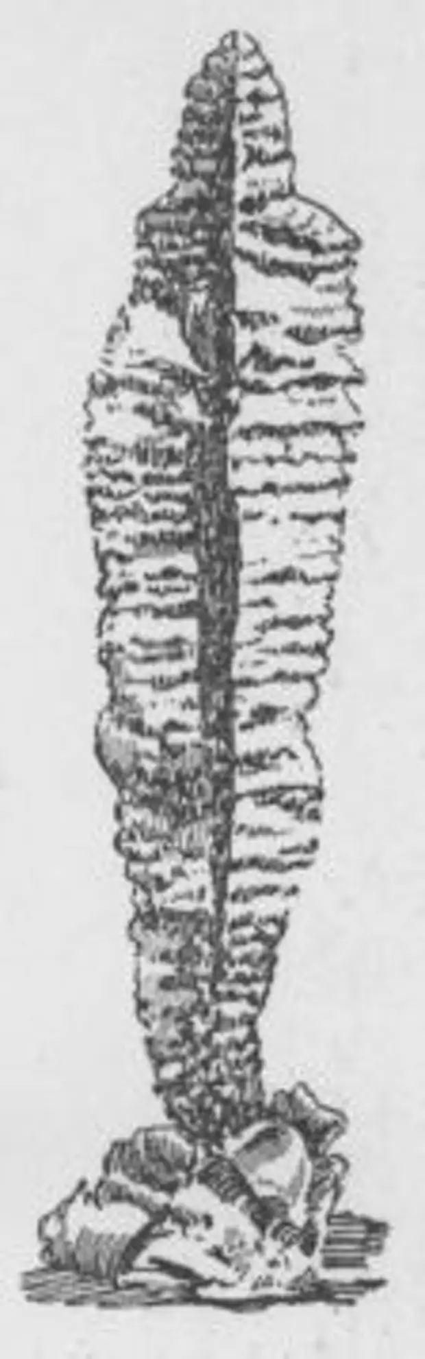 Русские металлурги (из книги: "Рассказы о русском первенстве" М. 1950 г.)