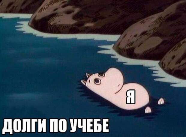 Прикольные картинки 24.08.17