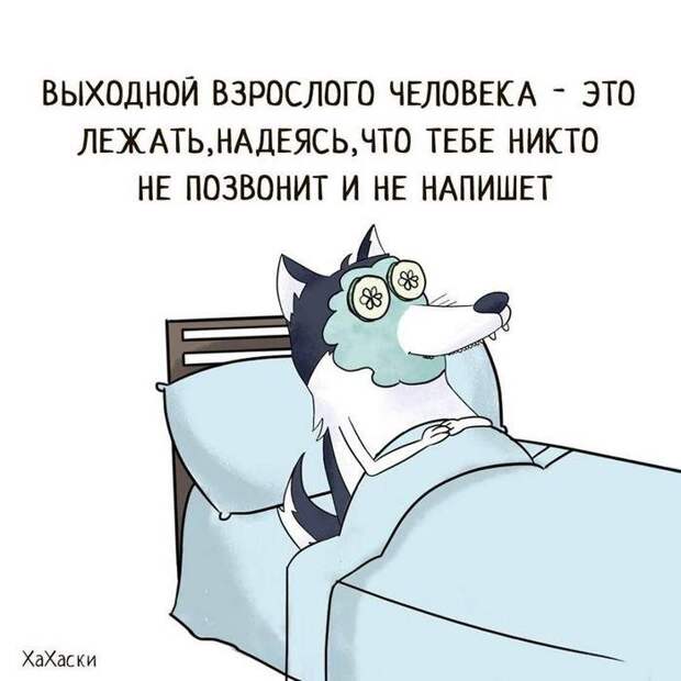 17 разрывных анекдотов для отличного настроя. Позитив на весь день! 17 разрывных анекдотов для отличного настроя. Позитив на весь день!