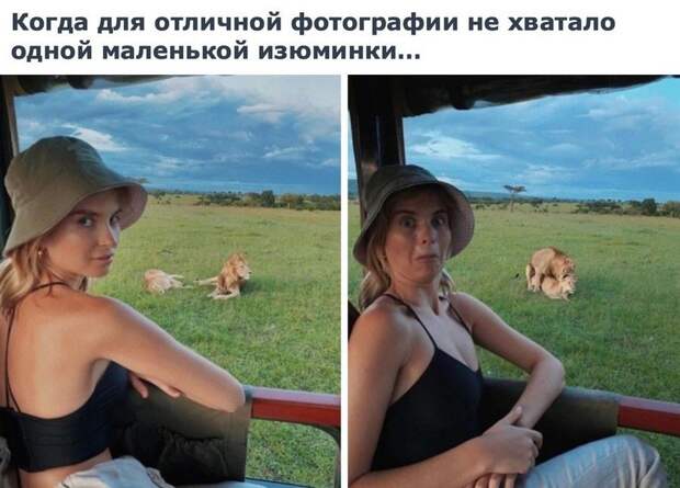 kartinok-veselyh-interesnyh-kartinki-smeshnye-kartinki-fotoprikoly