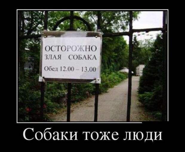 Веселые демотиваторы на выходные