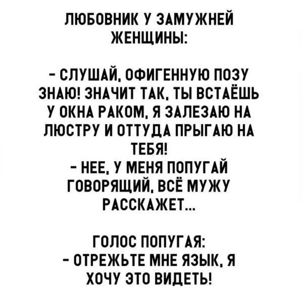 Солянка юмора из сети №5