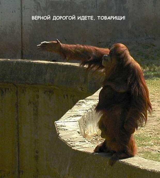 Давайте улыбаться вместе:) (23улыбки)