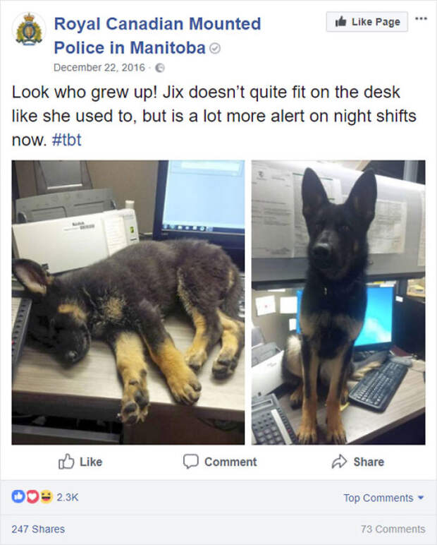 Look Who Grew Up!