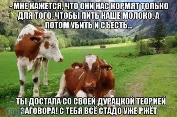Мужика спрашивают: - Ты че такой грустный?...