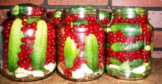 рецепты закруток на зиму