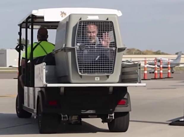 Директор авиакомпании для собак испытал на себе перелет в клетке