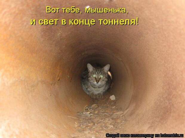 Котоматрицы :)