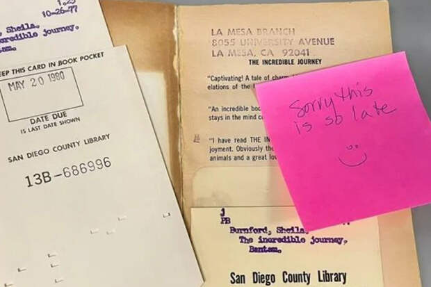 В США библиотека получила по почте книгу, взятую на дом почти 46 лет назад