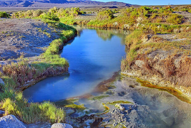 Трего Хот Спрингз Trego Hot Springs в пустыне Блэк Рок Невада США
