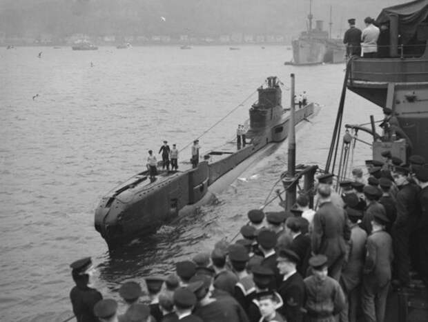 Как советская олениха «служила» на британской подводной лодке