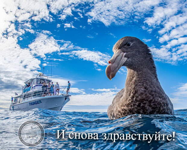 И снова здравствуйте!