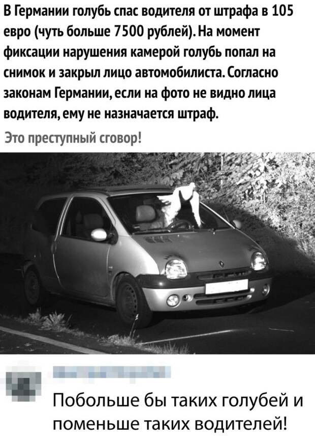 Прикольные картинки абавсём:D