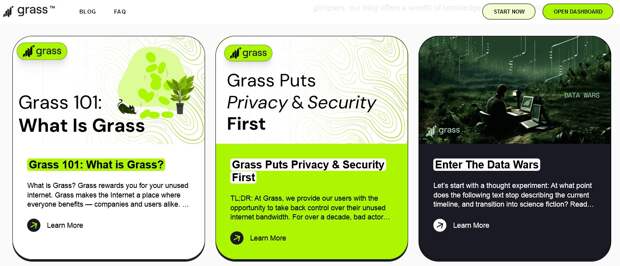 Grass-2.jpg Grass-2.jpg