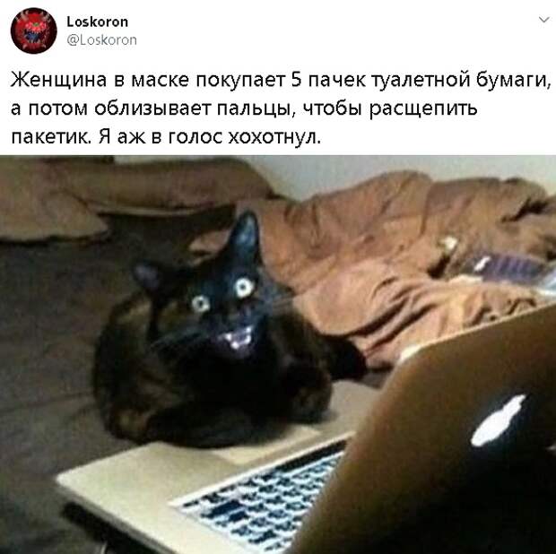 мемы про туалетную бумагу