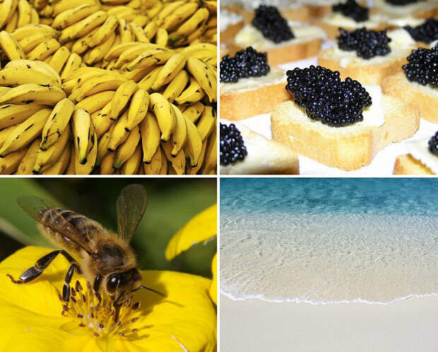 Ресурсы нашей планеты, которых мы можем лишиться в скором времени