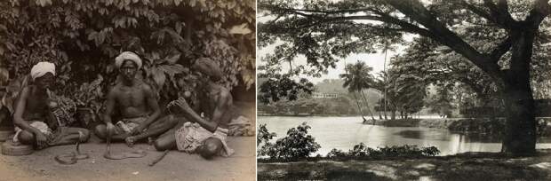 Редчайшие фотографии повседневной жизни Шри-Ланки в 1880-х годах