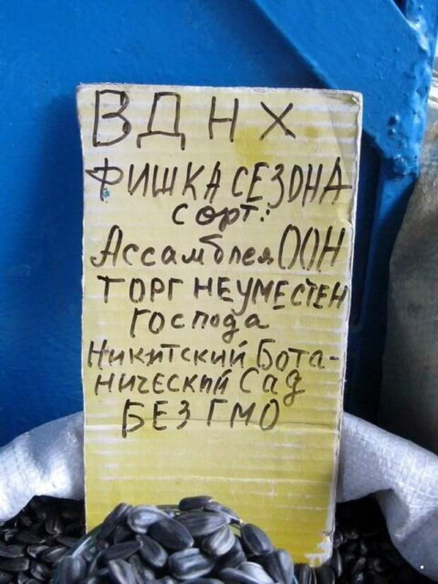 Фотоприколы прикол, хохма, юмор