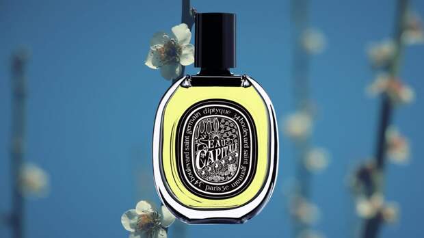 diptyque-eau-capitale-fragrance-review-scaled