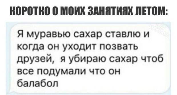 Прикольные картинки 24.08.17