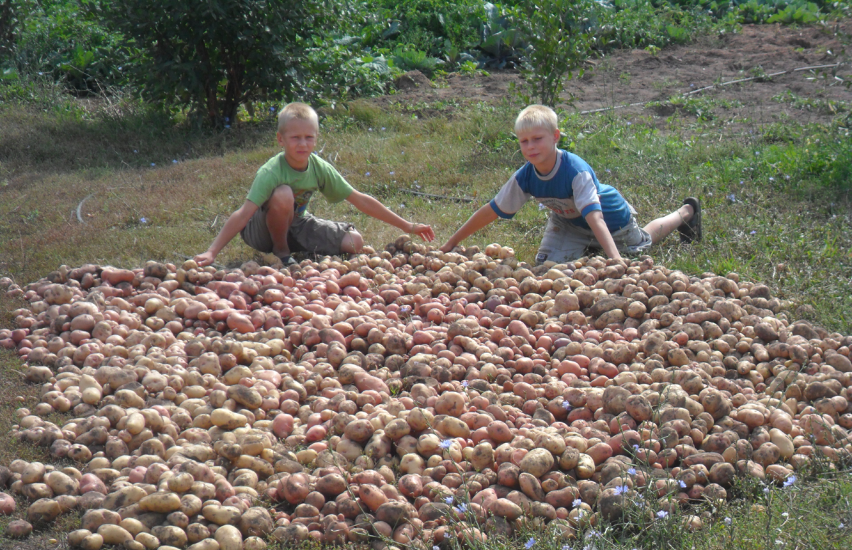 И невозможное возможно
