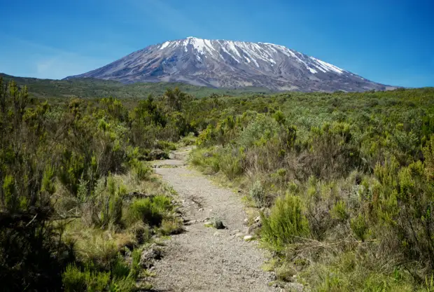 Килиманджаро — самый высокий вулкан Африки