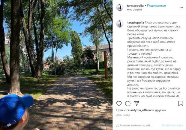 Та самая ветка