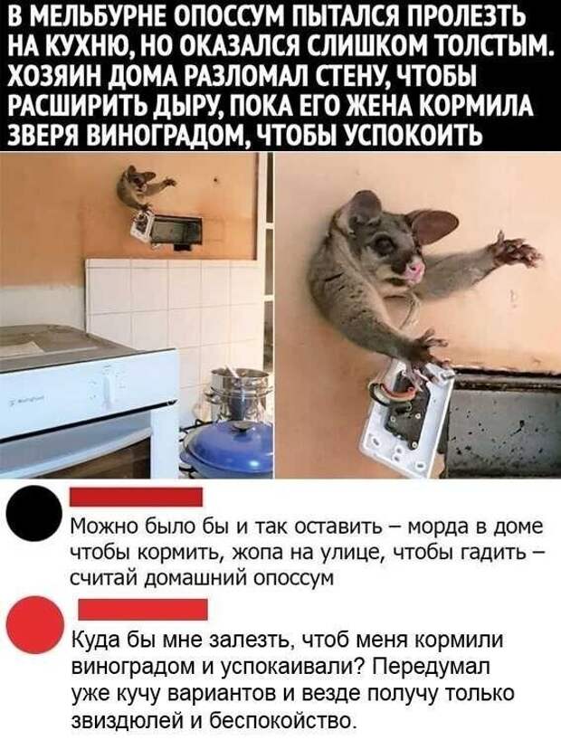 Учимся оставлять реально угарные комменты Учимся оставлять реально угарные комменты