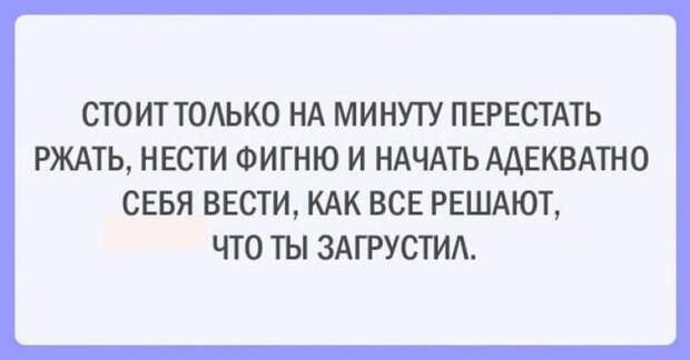 Несколько открыток с искрометным юмором