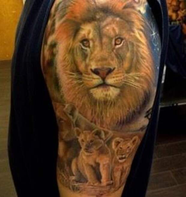 цветное тату лев