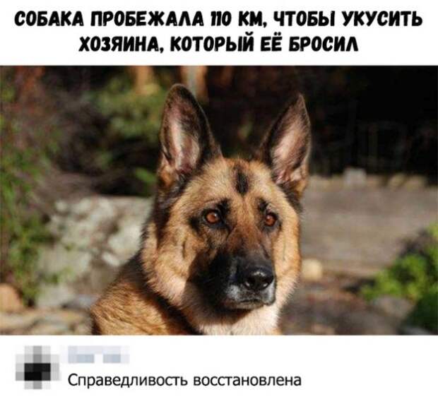 всякостей пост