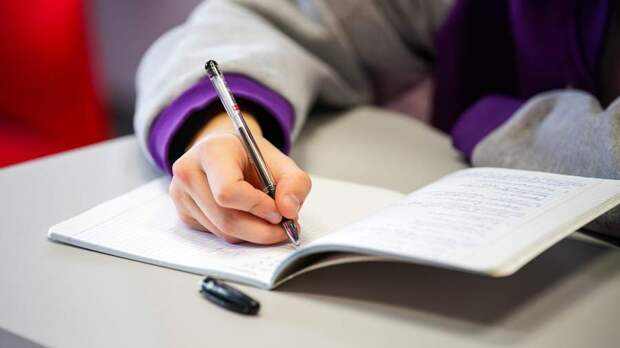 Всем будет укором: дети учатся на 16 часов дольше нормы труда для взрослых